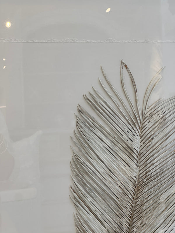 Dried Frond 9