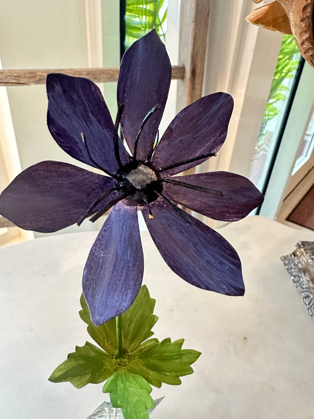 Violet Anemone