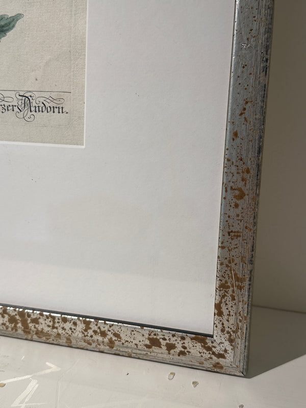 Silver Framed Botanicals