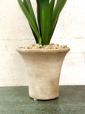 Standard Agapanthus Sculpture