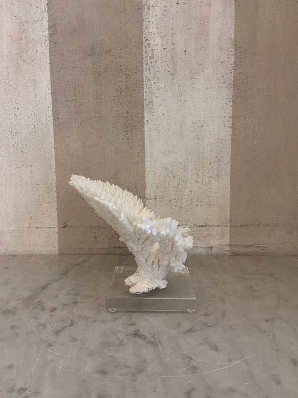 Luna Cup Coral Sculpture
