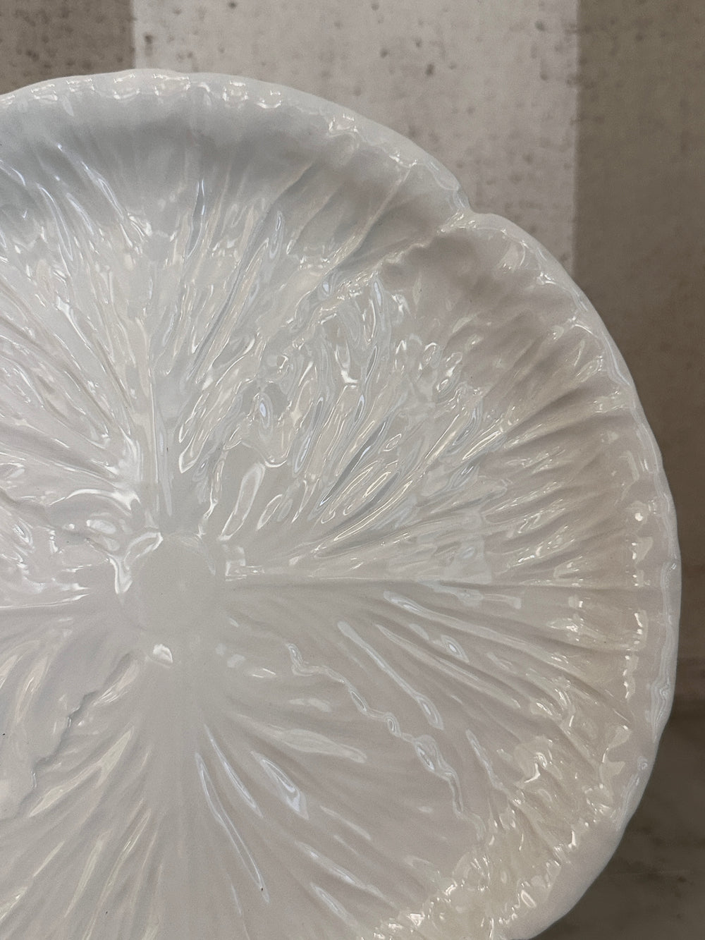 White Radicchio Salad Plate