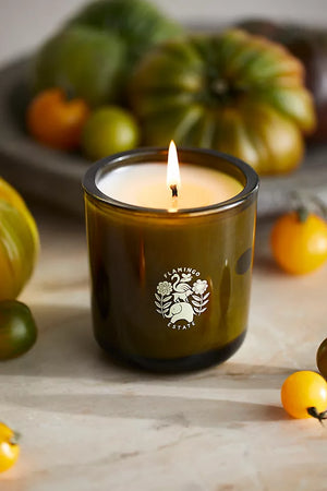 Roma Tomato Candle