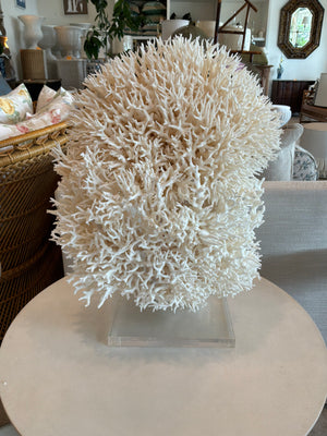 Nest Coral Sculpture