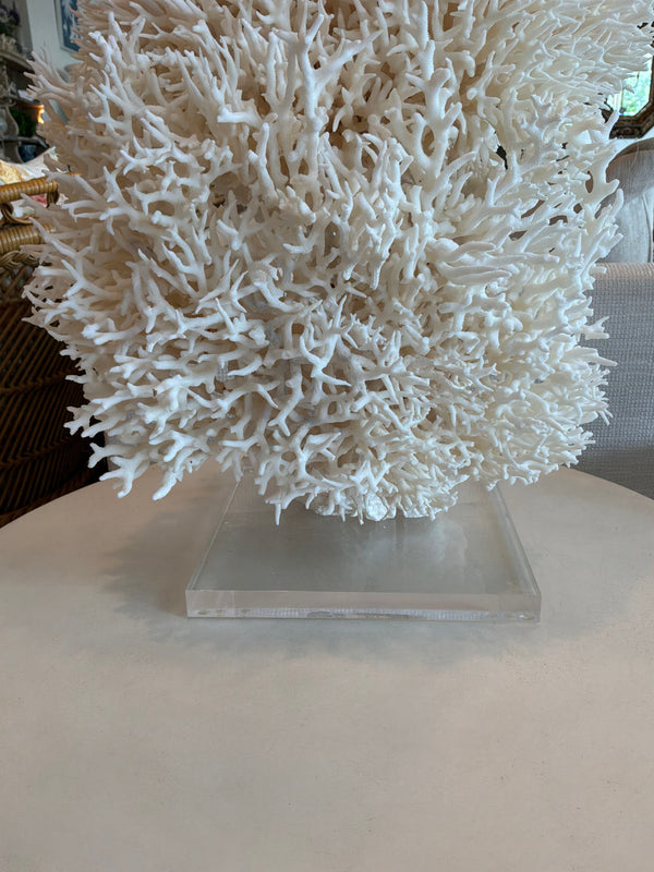 Nest Coral Sculpture