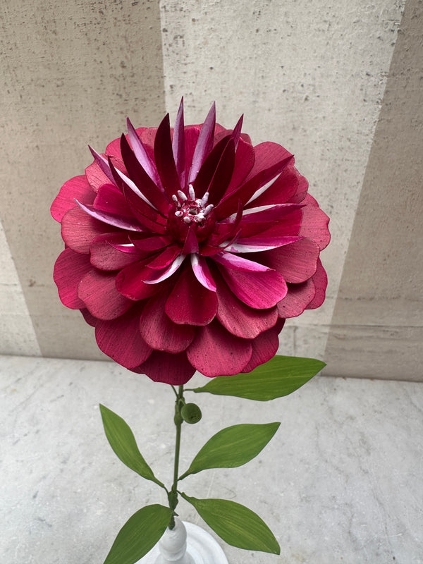Burgundy Zinnia 14"