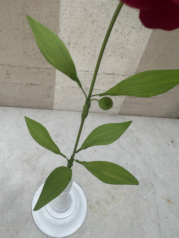 Burgundy Zinnia 14"