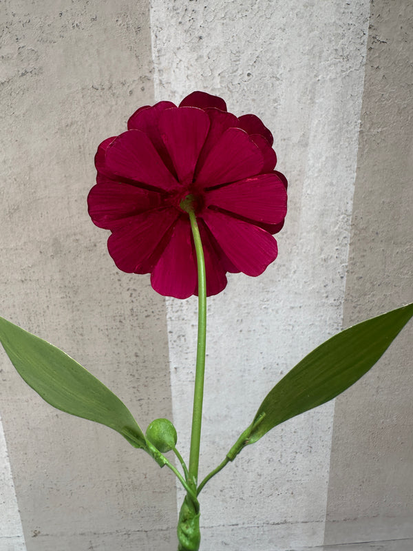 Burgundy Zinnia 14"