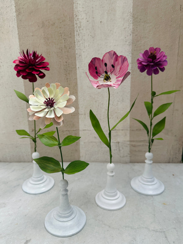 Burgundy Zinnia 14"