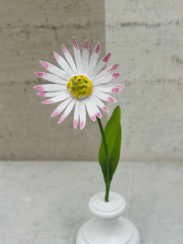 Little Flower, White w Pink 7"