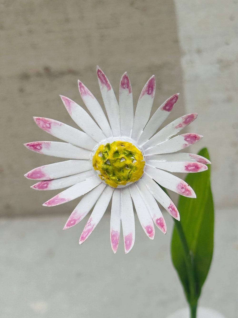 Little Flower, White w Pink 7"