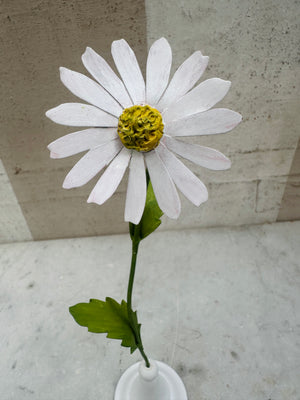 Daisy 12.5"