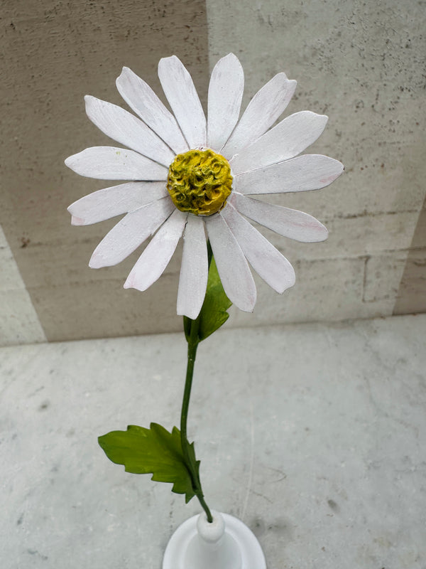 Daisy 12.5"
