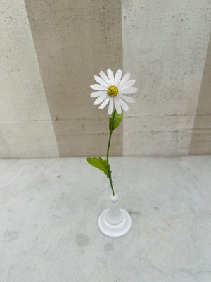 Daisy 12.5"