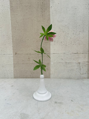 Pink Helleborous 10.5"