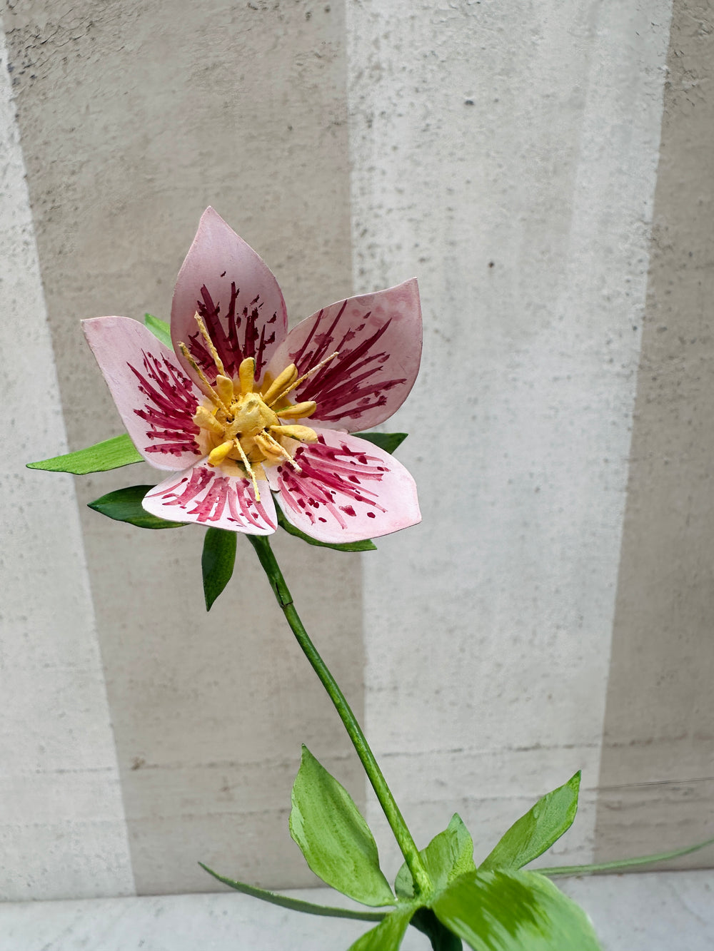 Pink Helleborous 10.5"