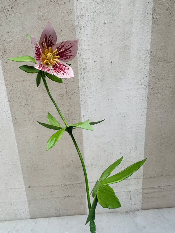 Pink Helleborous 10.5"