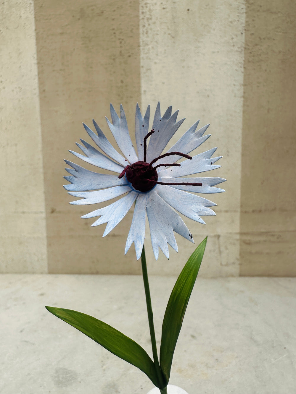 Small Flower, Blue Carnation 7"