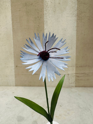 Small Flower, Blue Carnation 7"