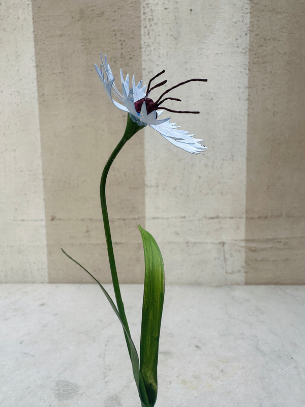 Small Flower, Blue Carnation 7"