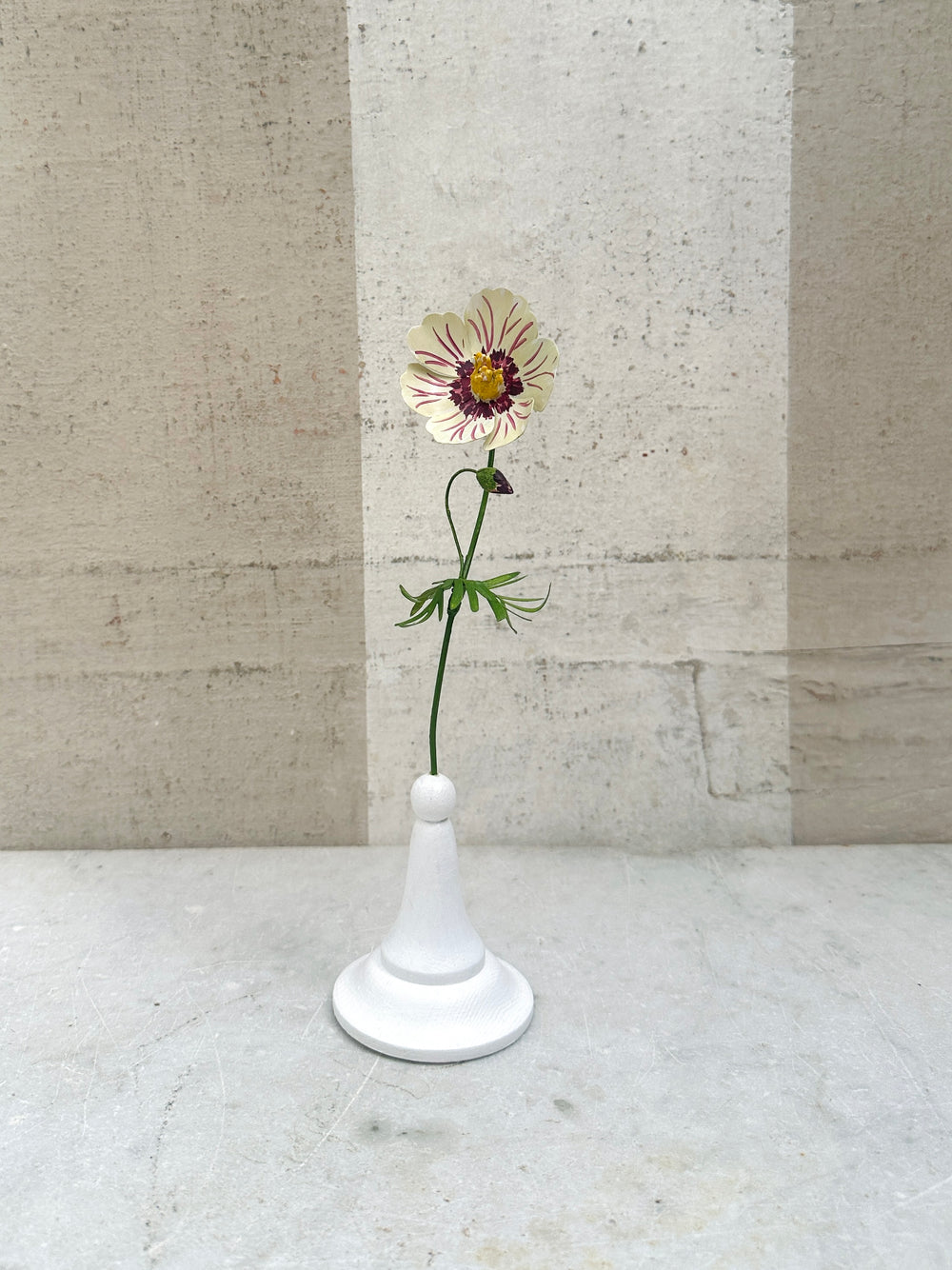 Varlegated Geranium 10"