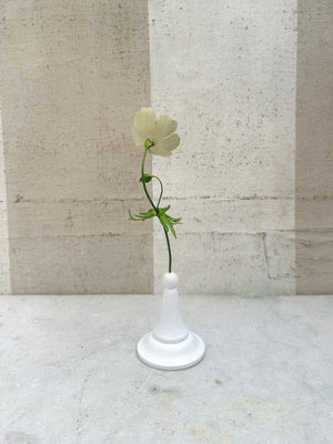 Varlegated Geranium 10"