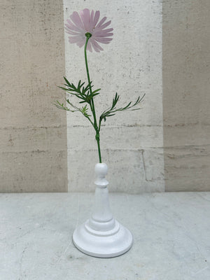 Chrysantenum 13"