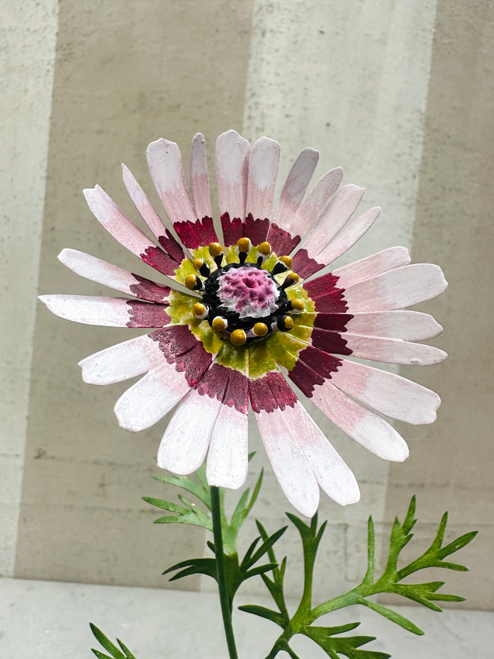 Chrysantenum 13"