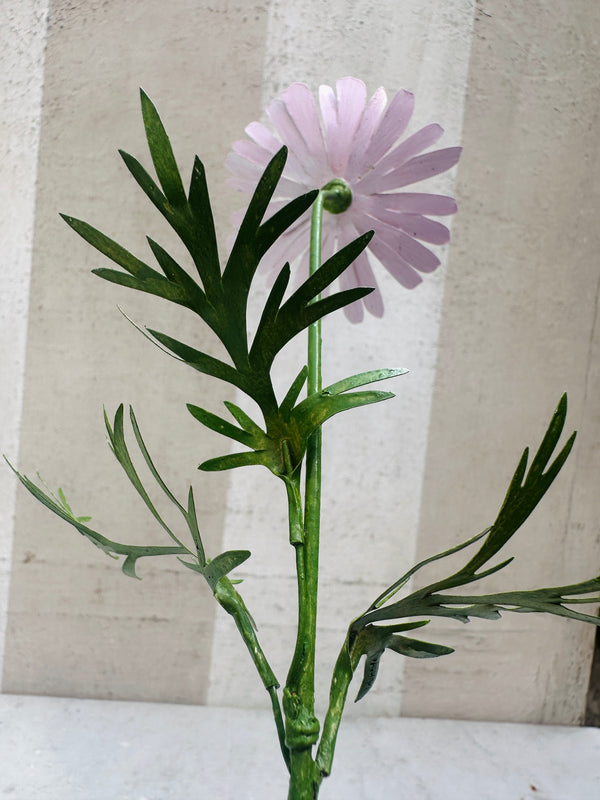 Chrysantenum 13"