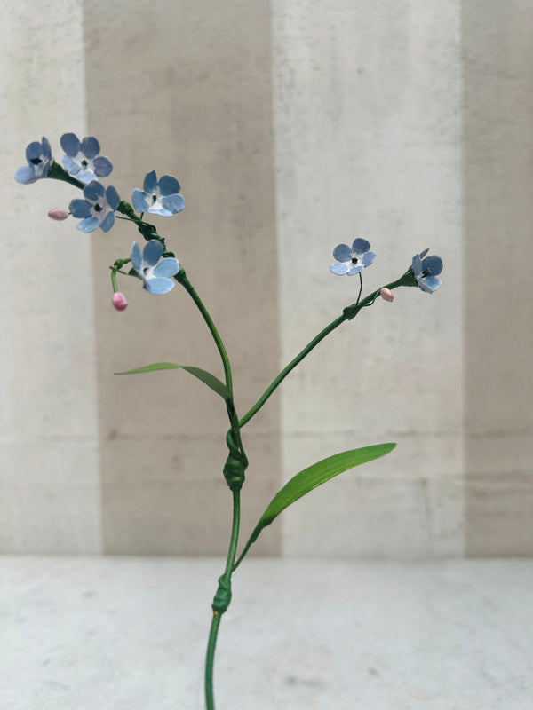 Myosothis Branch 10"
