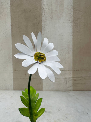 Daisy Medium 11"
