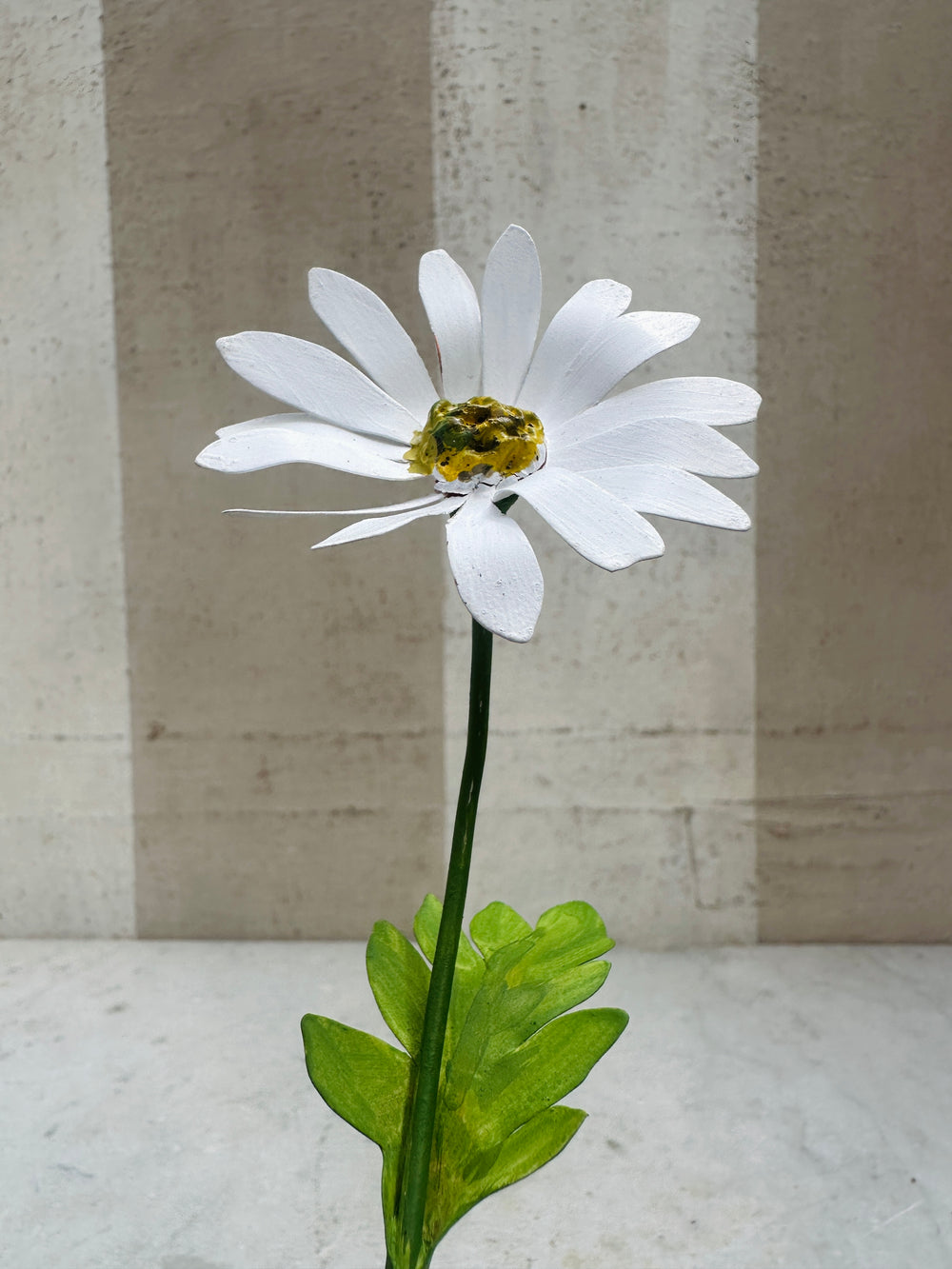 Daisy Medium 11"
