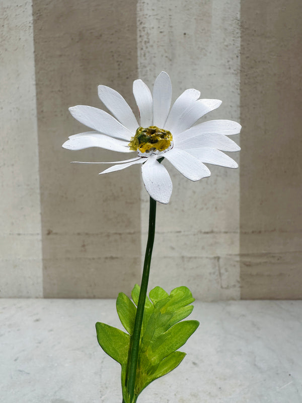 Daisy Medium 11"