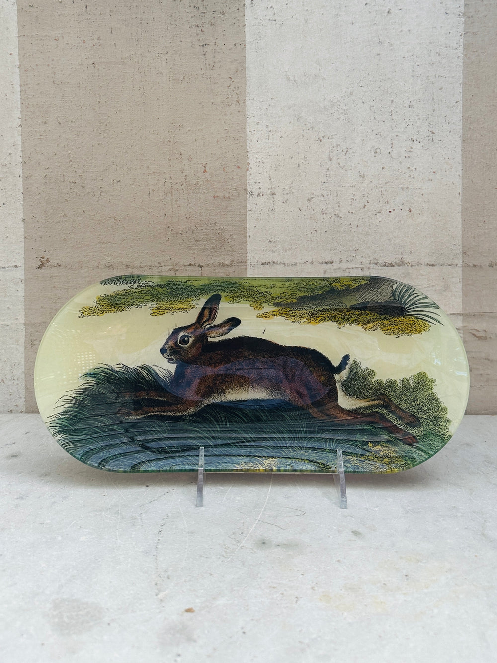 Common Hare Tray 6x12