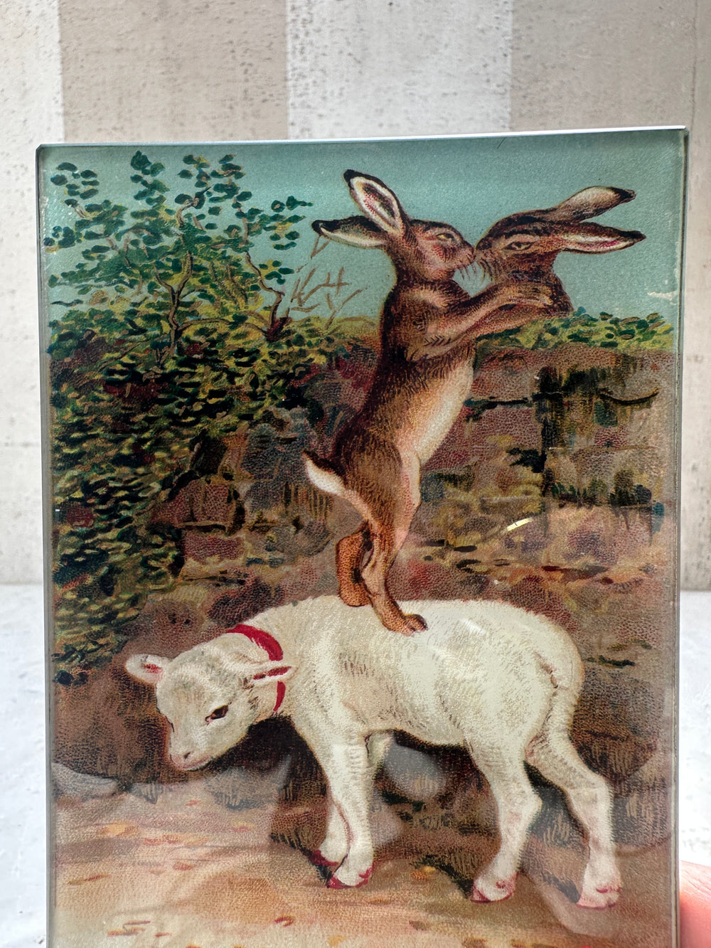 Easter Greeting Kissing Rabbits Tray