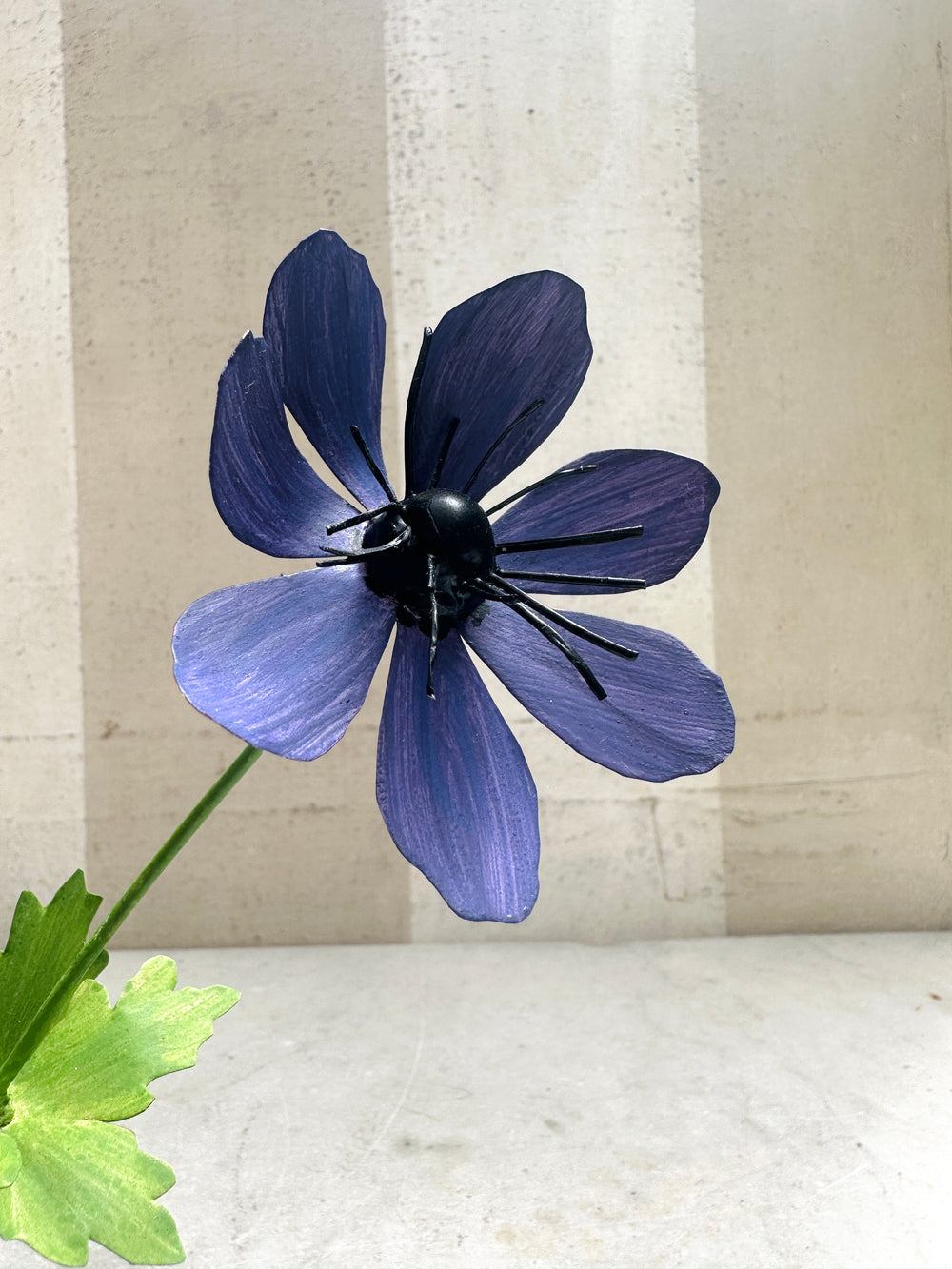 Violet Anemone 11"