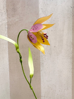 Pink/Yellow Fritillaries 12"