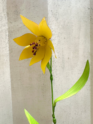 Pink/Yellow Fritillaries 12"