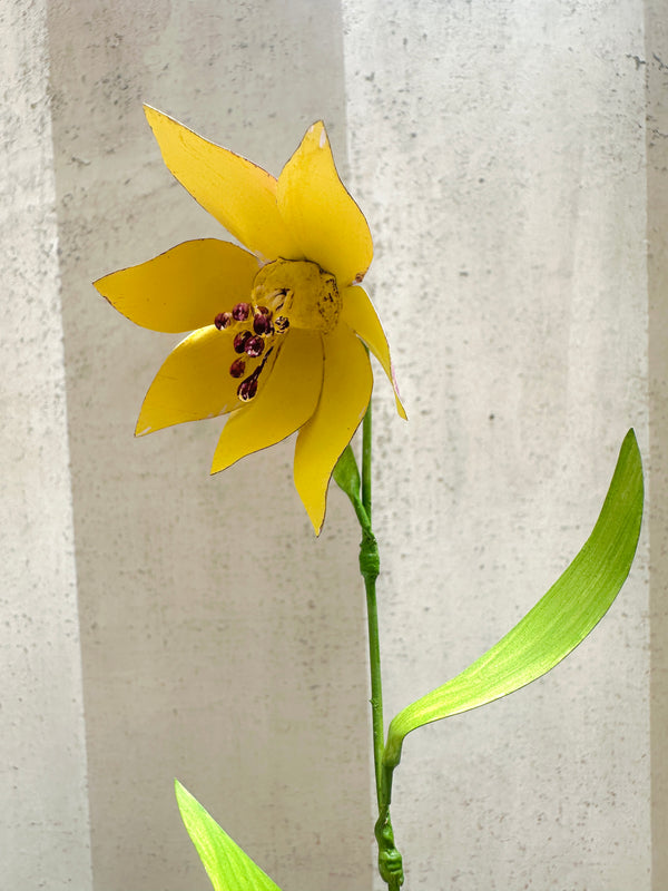 Pink/Yellow Fritillaries 12"