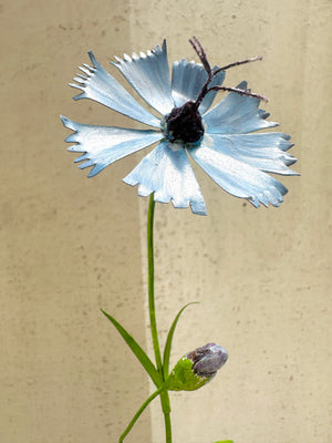 Cornflower 11"