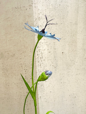 Cornflower 11"