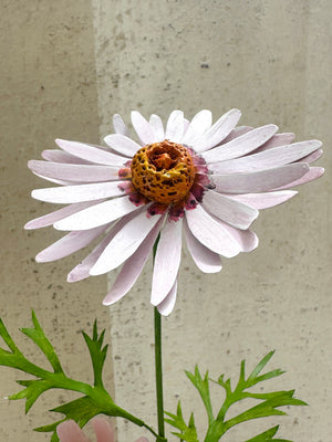 Two Stem Chrysanthemum 13"