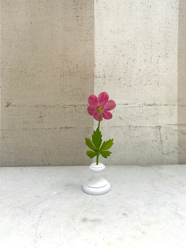 Little Flower, Magenta 7"