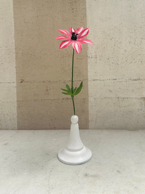 Variegated Anemone 10"