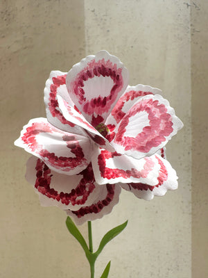 Variegated Carnation 13"