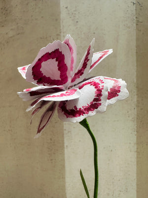 Variegated Carnation 13"