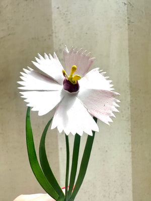 Little Flower Carnation 7"