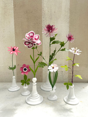 Variegated Anemone 10"