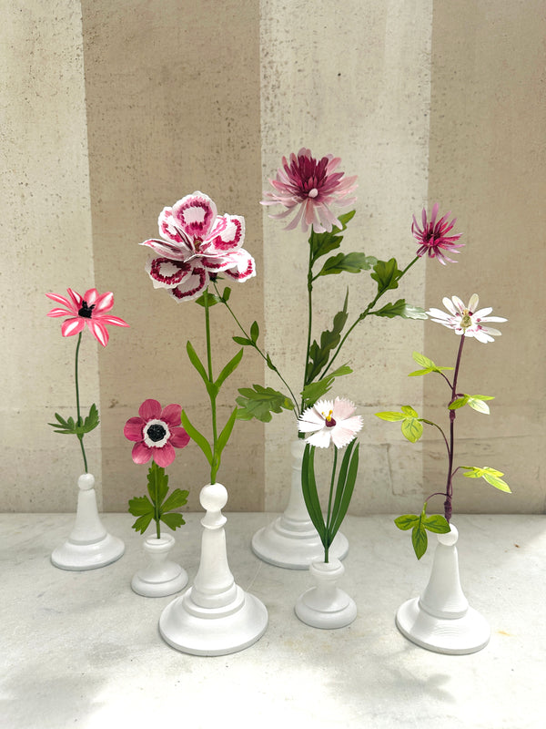 Variegated Anemone 10"