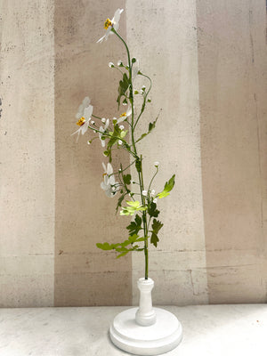 White Anemone Branch 22"